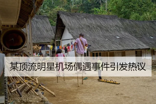 某顶流明星机场偶遇事件引发热议