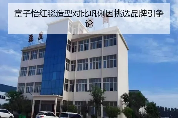 章子怡红毯造型对比巩俐因挑选品牌引争论